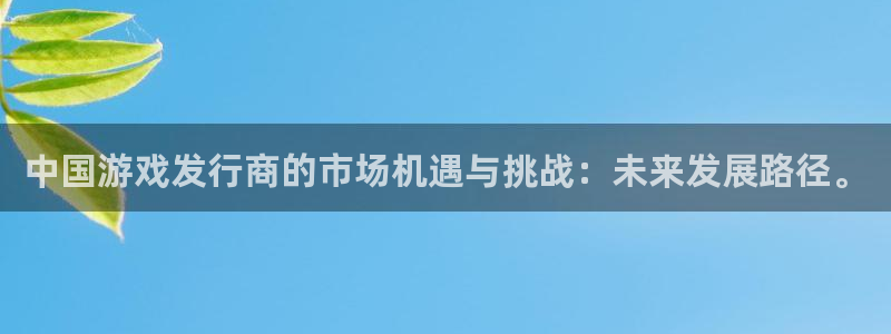 蓝图娱乐注册平台登录不上：中国游戏发行商的市场机遇与挑战：未来发展路径。