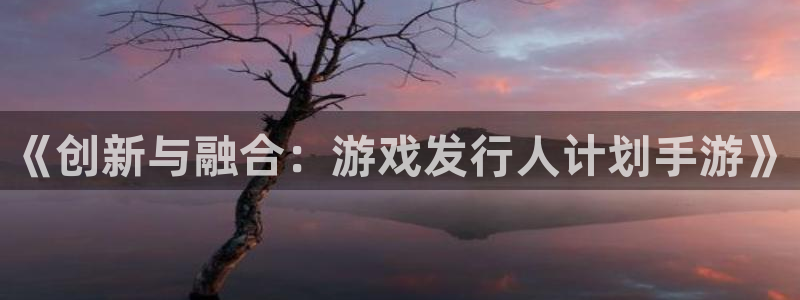 蓝图娱乐官网子文化创意有限公司：《创新与融合：游戏发行人计划手游》