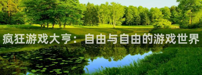 蓝图娱乐官网子股价：疯狂游戏大亨：自由与自由的游戏世界