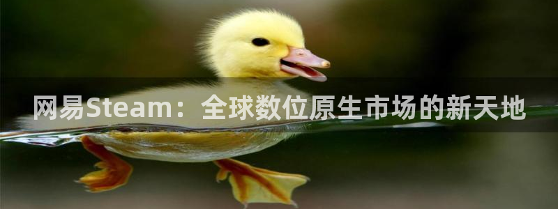 蓝图娱乐官网gs：网易Steam：全球数位原生市场的新天地