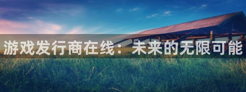 蓝图娱乐官网注册账号密码：游戏发行商在线：未来的无限可能